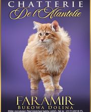 Chatterie de l'Alantolie image 11