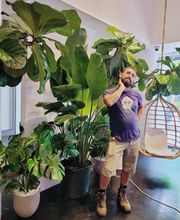 Midtown Garden Center image 19