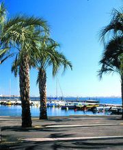 Agence Casenave image 9