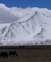 Special Adventure Bild 15