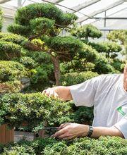 Bernhard Baumschulen AG Bild 14