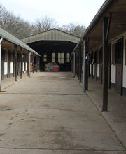 Castelin Catherine image 7