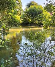 La Mouillère image 6