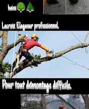 Lacroix David image 2