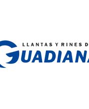 Michelin Car Service Llantas y Rines del Guadiana Suc. Avila Camacho imagen 3