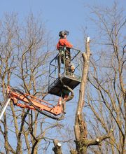 Mollier Bertrand image 1