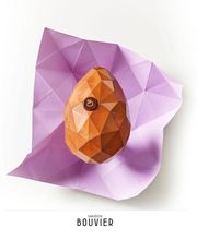 A Point Studio image 14