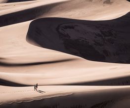Alnovis AG Bild 5