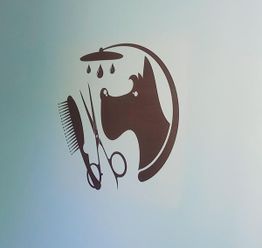 Canin Félin Toilettage