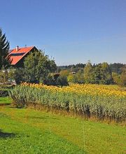Die Topinambur Manufaktur Bild 3
