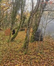 Gold Coast Game Zone image 3