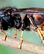 Cible En Vue image 7