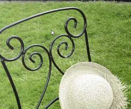 Gartenpflege Kamper Bild 1