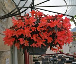 Auberge de Langlade image 1
