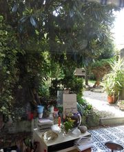 Chaban Marie-Noëlle image 1