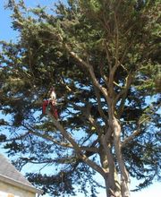 Duo Des Cimes image 2