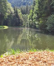 Camping Erbenwald Bild 16