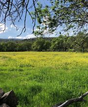 El Encanto del Valle del Lozoya imagen 2