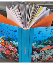 Lehmanns Manufakte Bild 6