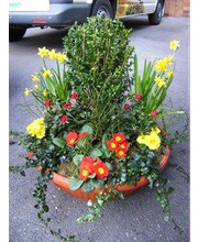 Blumen Grünert Bild 1