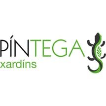 Logo_Pintega.jpg