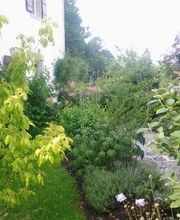 Brunner Paysagiste Bild 11