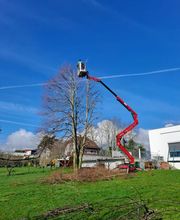 A.David Paysages Sàrl Bild 4