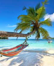 Taxis Alizé image 2