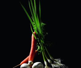 TRANSGOURMET image 4