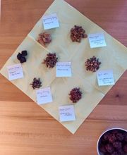 PHÖNIX TCM | Philipp Näf Bild 8