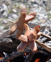 Niesen-Metzg GmbH Bild 2