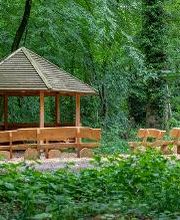 FriedWald Hasbruch Bild 9