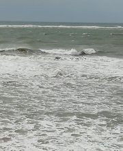 Beau Rivage image 13