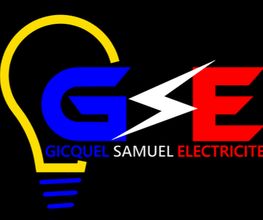 GSE image 4