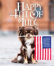 Lan's Lapels Cleaners - Wilmington image 8