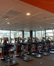 Basic-Fit Ladies afbeelding 4