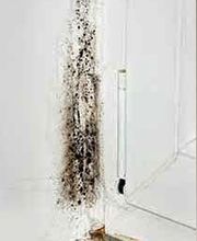 TCM Restoration image 6