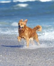 Funema Alzira imagen 17