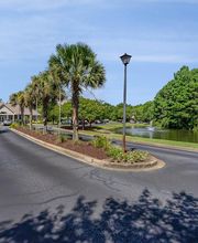Litchfield Oaks image 14