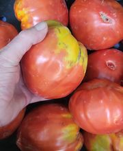 La Grillade Au Bois image 4