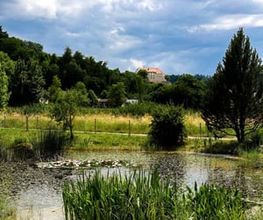 Alters- und Pflegeheim Sunneschyn Bild 3