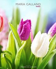 Kosmetik Heitzmann Bild 3