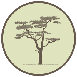 Baumplan Landschaftsarchitektur GmbH