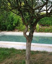 PISCINES ET PAYSAGES DE FRANCE image 9