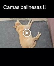 La Huella Azul S.L. imagen 6