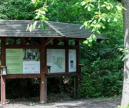 FriedWald Bremer Schweiz Bild 13