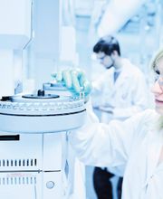 Siegfried St . Vulbas SAS image 3