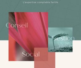 Agora Conseils Expertises image 2