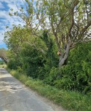 THILL SEBASTIEN image 2