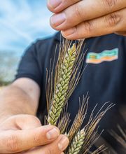 Raiffeisen Lagerhaus Bild 1